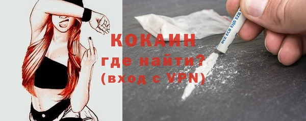 шишки Остров
