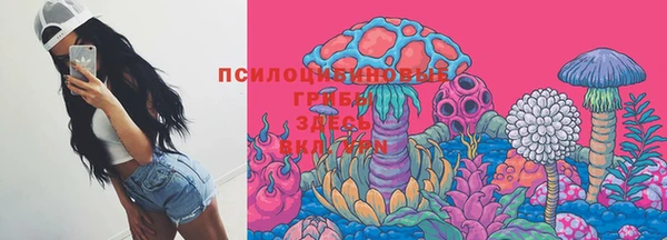 шишки Остров