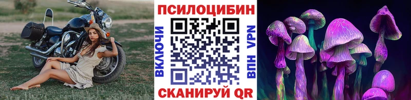 hydra   Ковдор  Псилоцибиновые грибы ЛСД  где купить наркоту 
